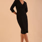 Model wearing DIVA Seed Rosemary Low V-Neckline Sleeved Pencil Dress in black colour