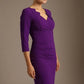 Indira 3/4 Sleeve Knee Length Pencil Dress 