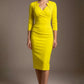Indira 3/4 Sleeve Knee Length Pencil Dress 