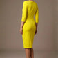 Indira 3/4 Sleeve Knee Length Pencil Dress 