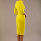 Indira 3/4 Sleeve Knee Length Pencil Dress 