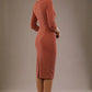 Indira 3/4 Sleeve Knee Length Pencil Dress 
