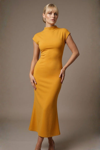 Kaden High Neck Midaxi Dress 