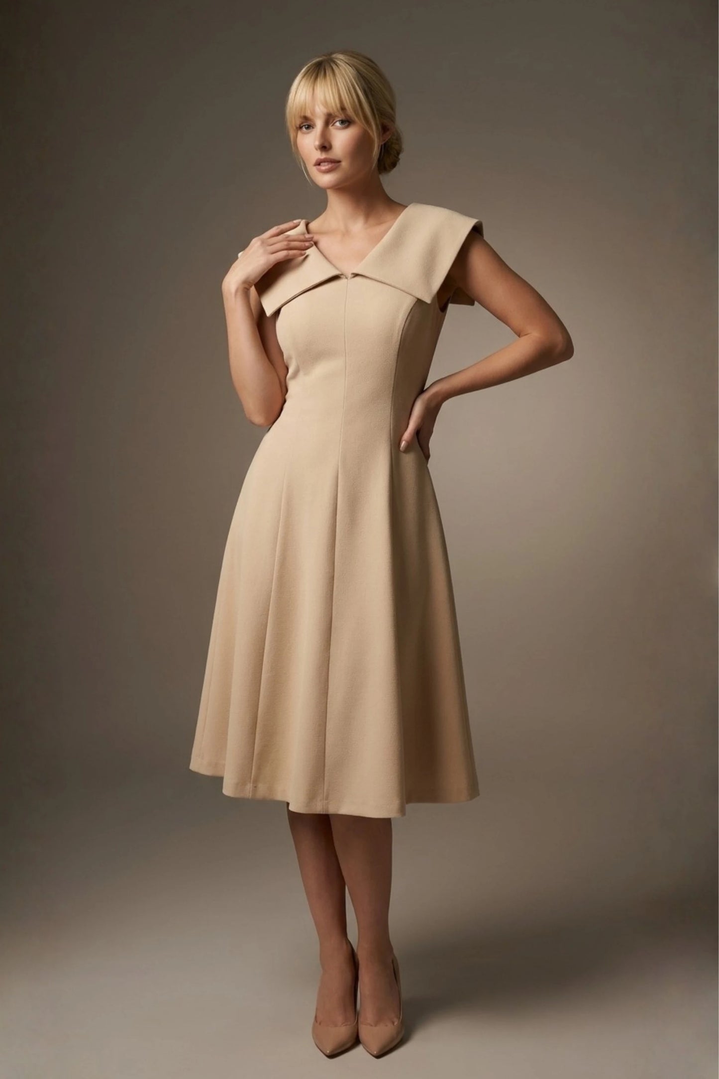 Burghfield Fold-Over Collar A-Line Dress