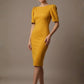 Leiston Open-Back Pencil Dress