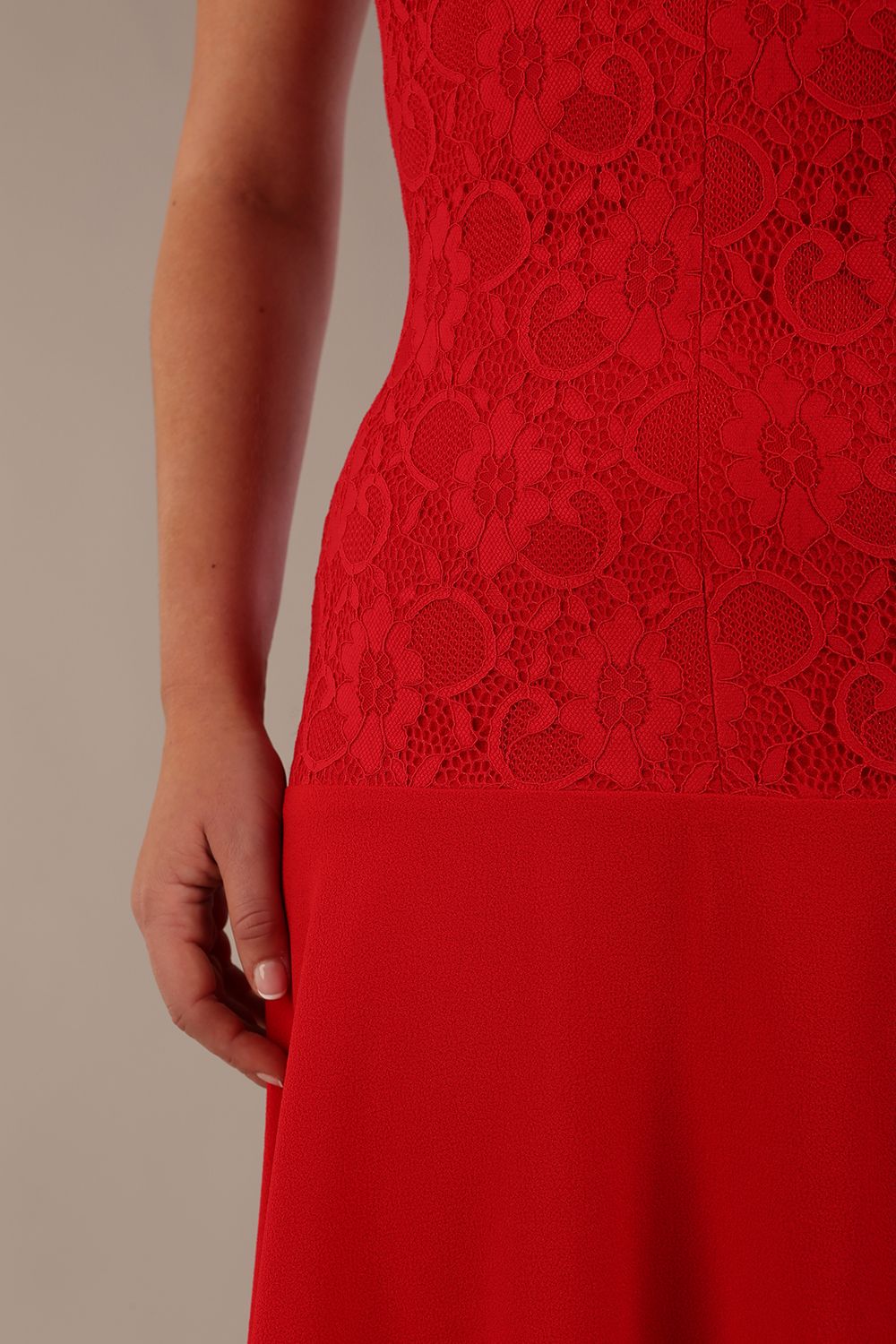 Ayesha Lace Bodice A-Line Dress 