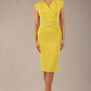 Caprice Cap Sleeved Pencil Dress 