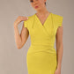 Caprice Cap Sleeved Pencil Dress 