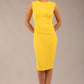 Clara Sleeveless Pencil Dress 