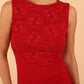 Demelza Lace Pencil Dress 
