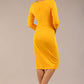 Kinga 3/4 Sleeved Pencil Dress 