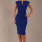Lydia Sleeveless Pencil Dress 
