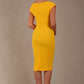 Lydia Sleeveless Pencil Dress 