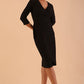 Seed Rosemary Low V-Neckline Sleeved Pencil Dress 