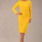 Zoey Sleeved Pencil Dress 