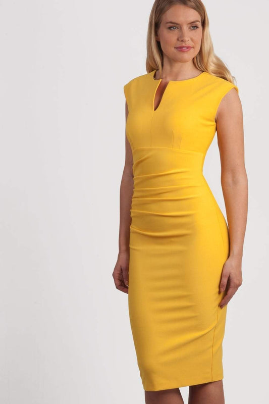 Seed Fitzrovia Sleeveless Pencil Dress