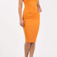 Banbury Sleeveless Pencil Dress 