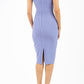 Banbury Sleeveless Pencil Dress 