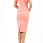 Bodiam Pencil Skirt Dress 