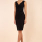 Cynthia Sleeveless Pencil Dress 