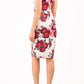 Eliza Sleeveless Print Dress 