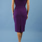 Fenella Boned Pencil Skirt Dress 