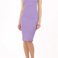 Lydia Sleeveless Pencil Dress 