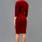 Marianne Velvet Velour V neck Dress 
