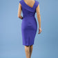 Rosita Sleeveless Pencil Dress 