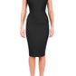 Seed Anna Sleeveless Pencil Skirt Dress 